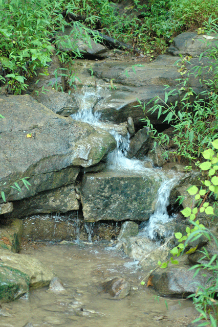DSC_0117.gif