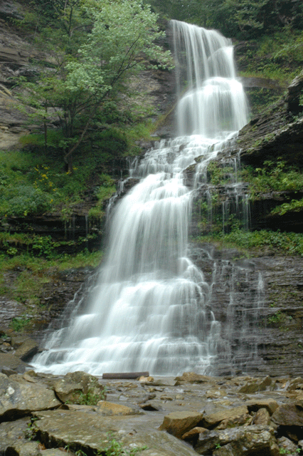 DSC_0041.gif