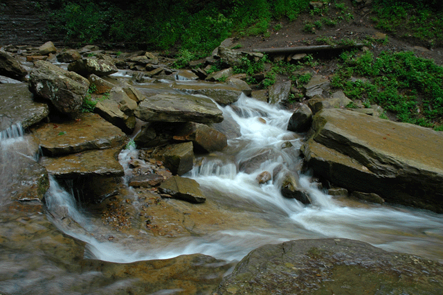 DSC_0053.gif