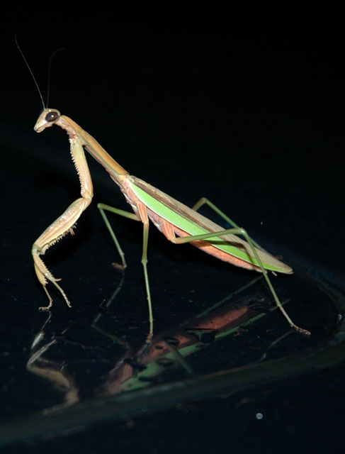 DSC_0008.jpg
