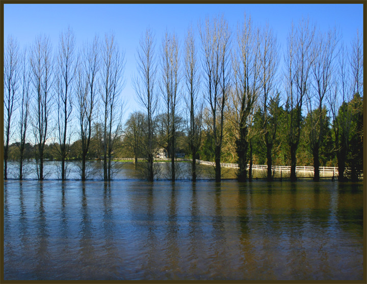 The Flood