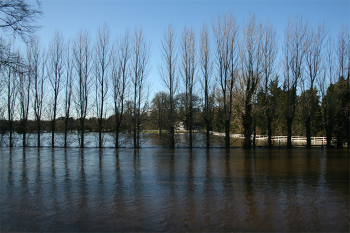 flood-natural-orig.jpg