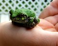 too cute