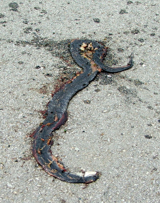 Eeeeewwwwww2