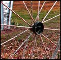 Old Wagon Wheel