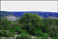 Texas Hill Country