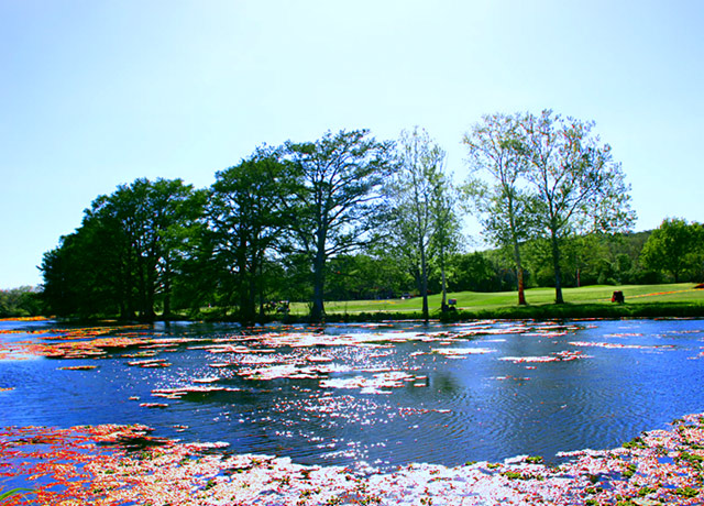 San Marcos River