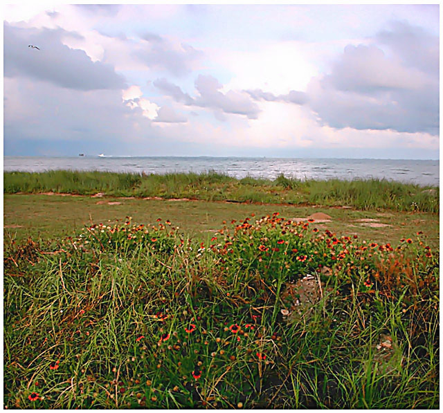Rockport Beach