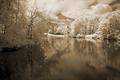 Morton Lake in Sepia