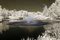 The Pond with moon in Infrared