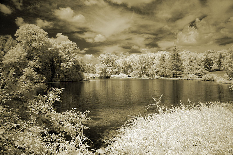 Morton Lake Day
