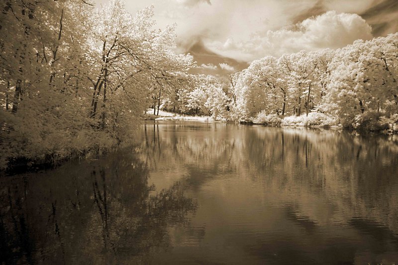 Morton Lake in Sepia