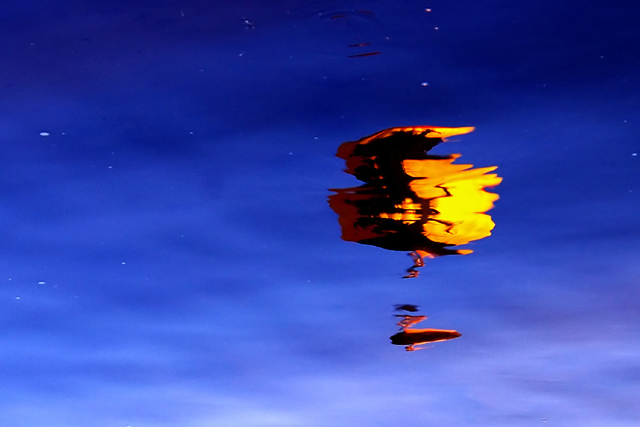 Reflection
