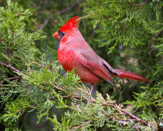 IMGP0473_edited.JPG