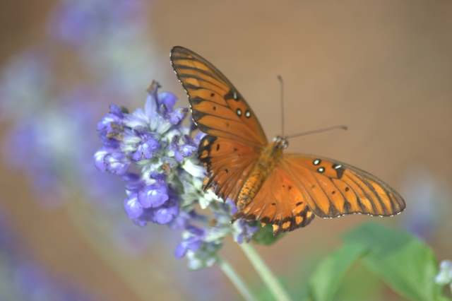 CRW_6314x640.jpg