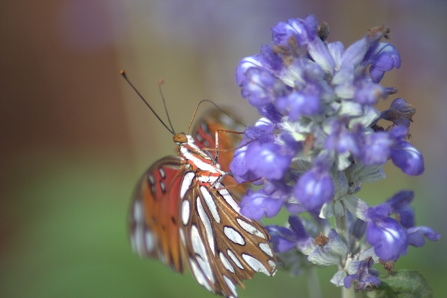 CRW_6309x640.jpg