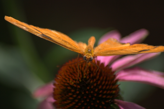 CRW_6281x640.jpg