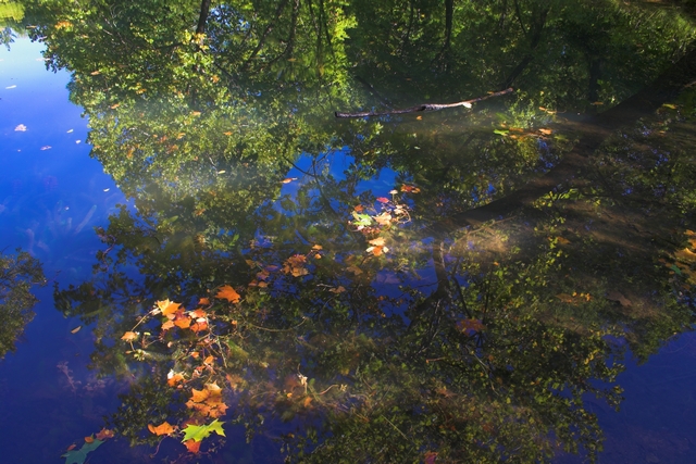 reflections of early fall