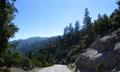 Sequoia National Forest
