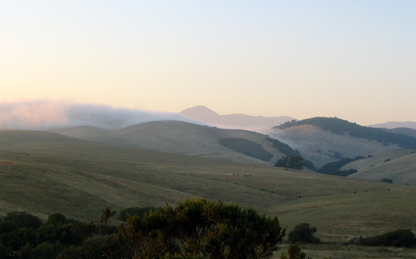 Fog rolls in