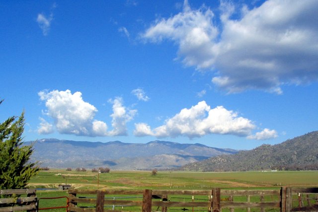 Walker Basin