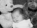 teddybearhugs.jpg