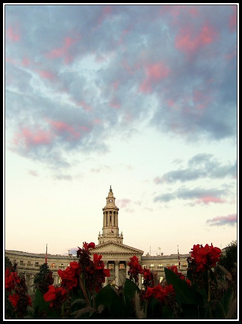 D.C.C._2