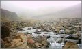 Small river in the fog