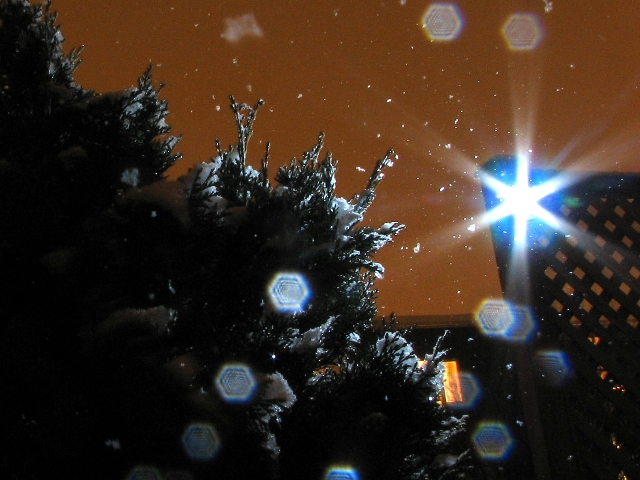 Backlight