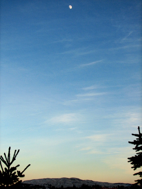 Moon high up - more contrast