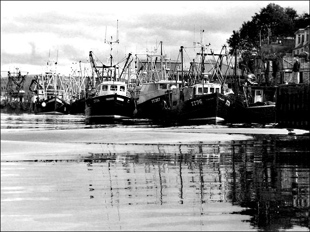 tarbet bw.jpg