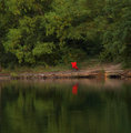 Red Chair