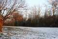 Backyard Day 18