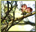 Stained Glass
