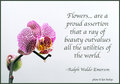 Orchid