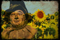 Scarecrow