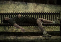 The Bench