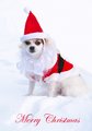 Santa Bandit