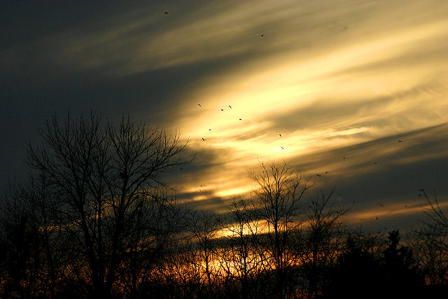 Sunset