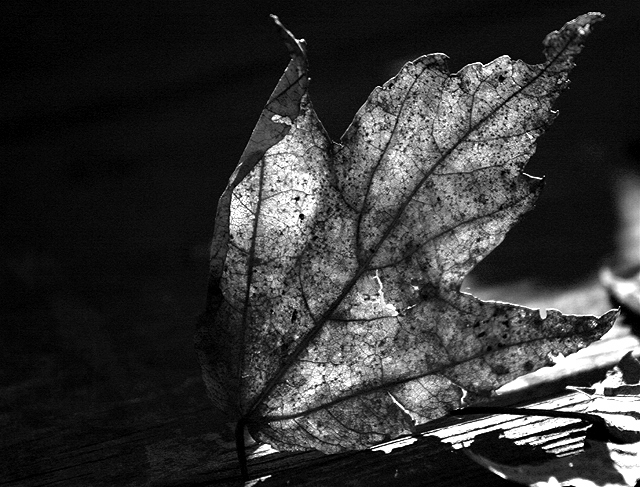 Black & White