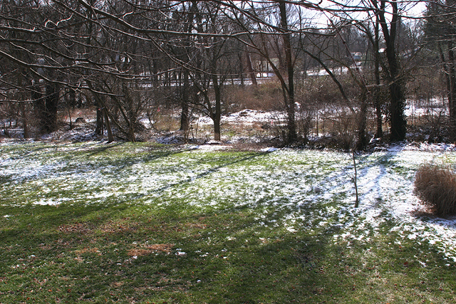 Backyard Day 4