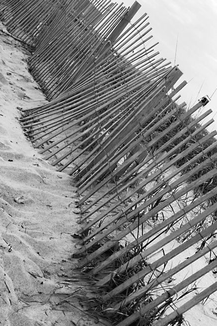 Beach Fence Day 25