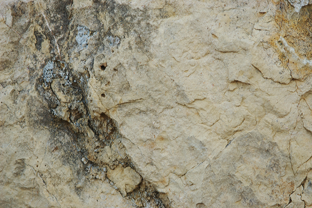 Stone