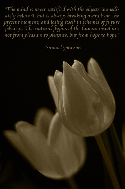 Hopes & Dreams