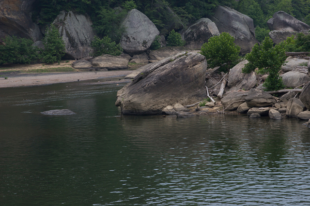 Water Hole Original