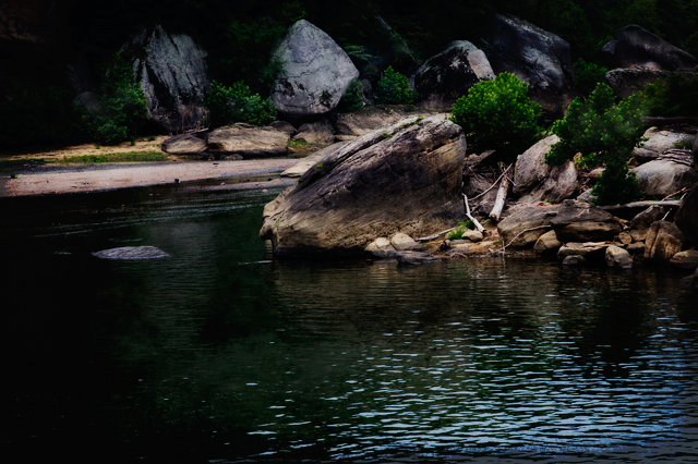 Water Hole