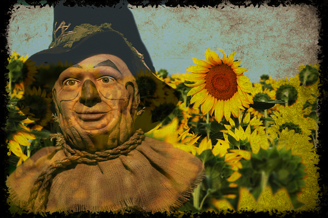 Scarecrow
