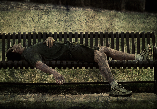 The Bench