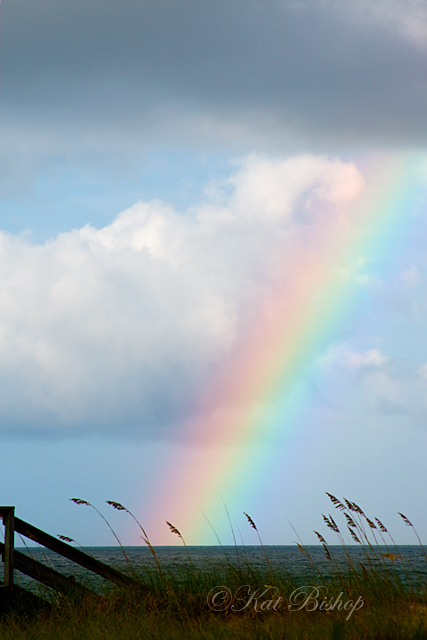 Rainbow II