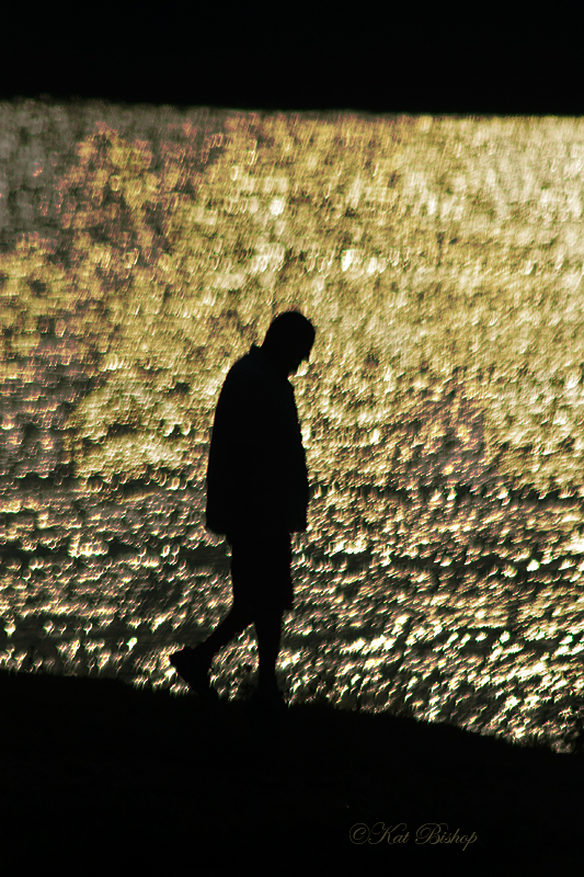 A Day at the Lake